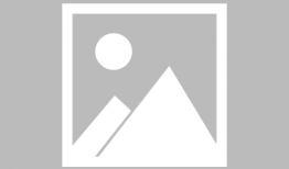 吃汉堡的视频,味蕾之旅，一网打尽美味瞬间